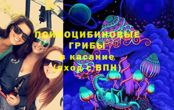 амф Костерёво