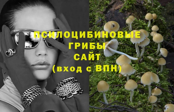 MESCALINE Корсаков